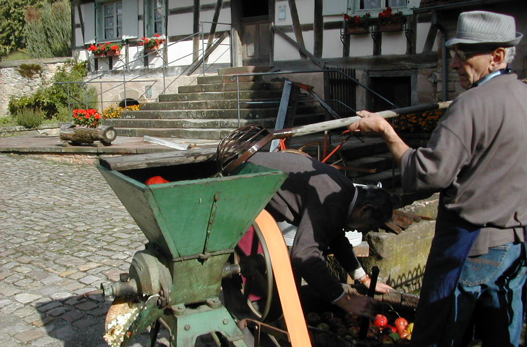 Broyage des pommes à la Maison Rurale