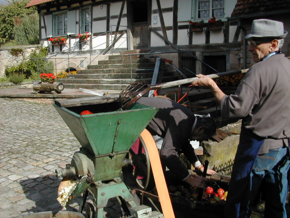 Broyage des pommes à la Maison Rurale