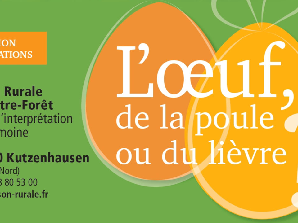 L'oeuf, de la poule ou du lièvre?