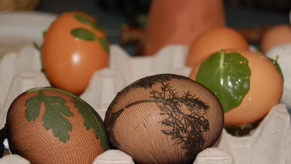 Oeufs peints