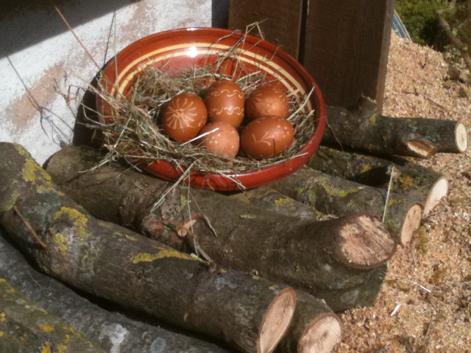 bûches et oeufs