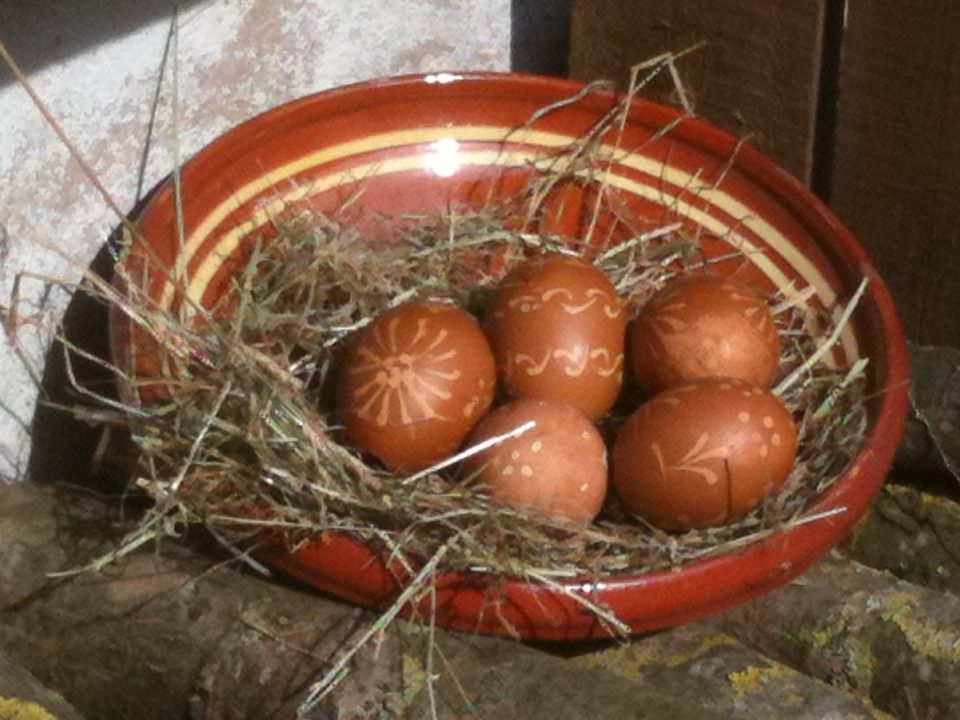 Bûches et oeufs