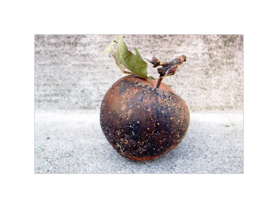 pomme @ HUSS Marcel