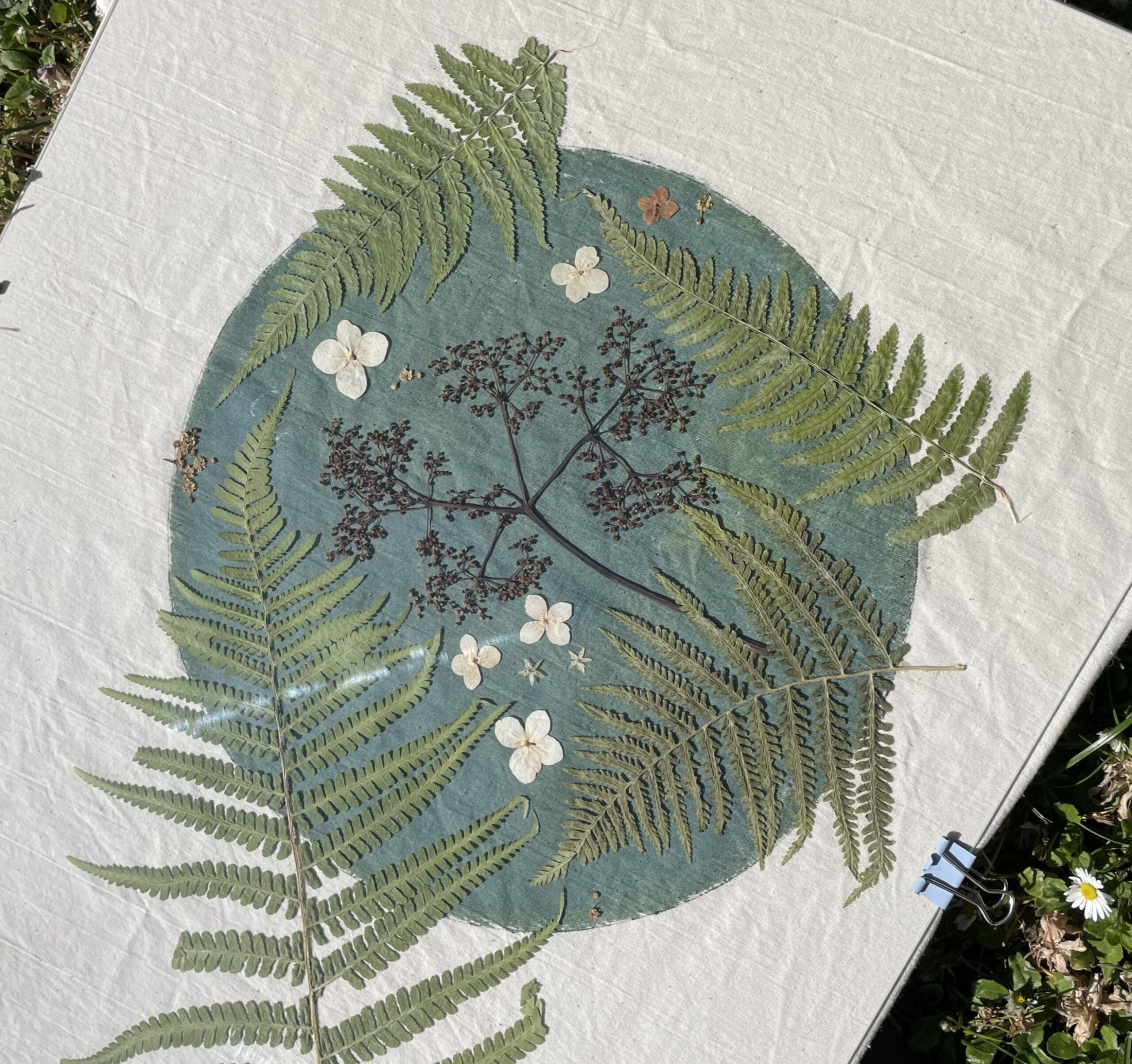 Atelier Cyanotype